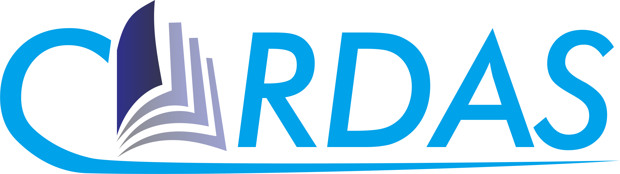 logo Cerdas